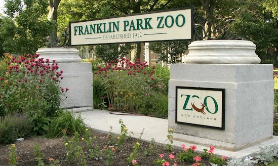 Franklin Zoo Boston