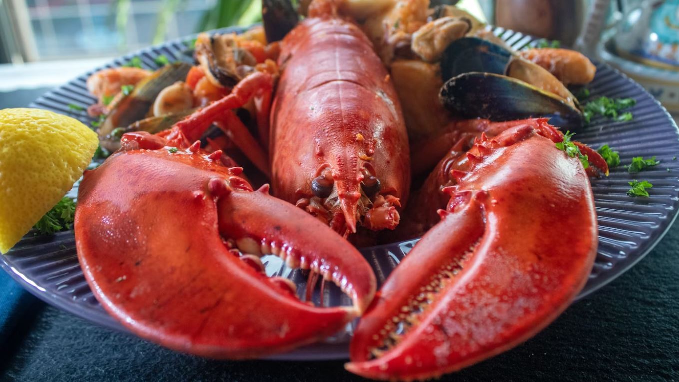 Chicago's Lobster Quest: A Guide to the City's 8 Best Lobster Dishes