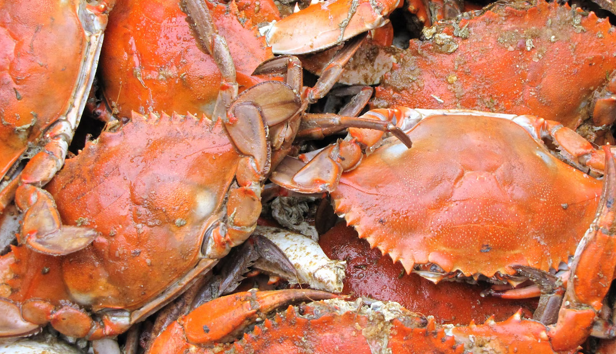 Maryland Crab Restaurants in Maryland