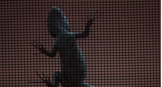 Why is Alabama Known as the Lizard State?