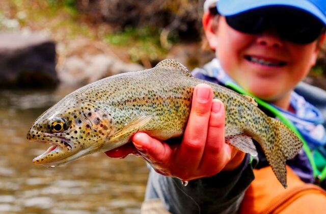 Trout Hotspots: New Hampshire's Best Trout Streams for 2025