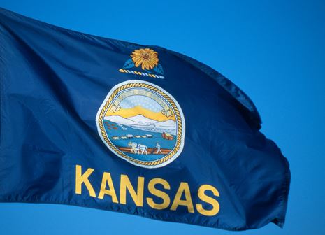 Kansas Flag