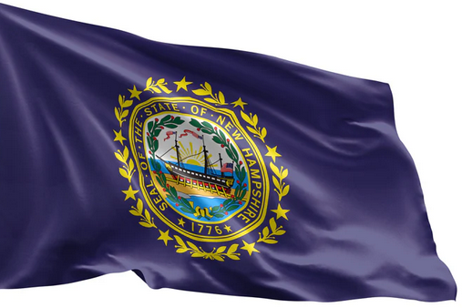 New Hampshire Flag