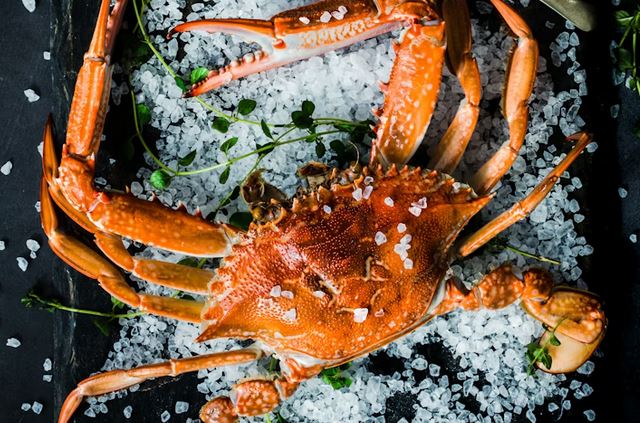 Exploring the Maryland Crab & Oyster Trail