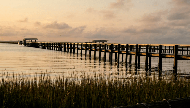 Fishing The Chesapeake Bay The World's Largest Estuary