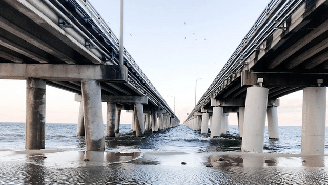 The Chesapeake's Silent Struggle: Pollution, Overfishing, and the Bay's Uncertain Future