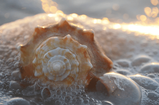 Best Spring Break Trip Locations for 2023