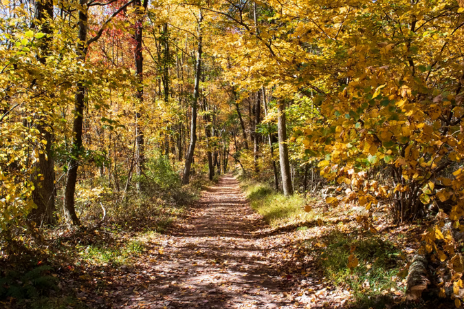 Why You Should Consider a Day Trip to Jim Thorpe