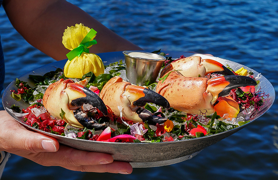 Shooters Waterfront: Seafood Restaurant in Fort Lauderdale, FL