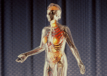 Valeda the Talking Transparent Woman in Halstead Kansas