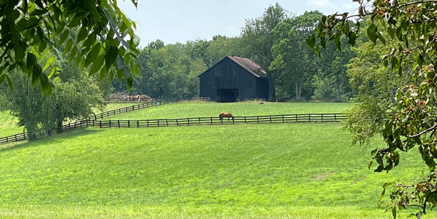 Why is Kentucky Known as The Bluegrass State?