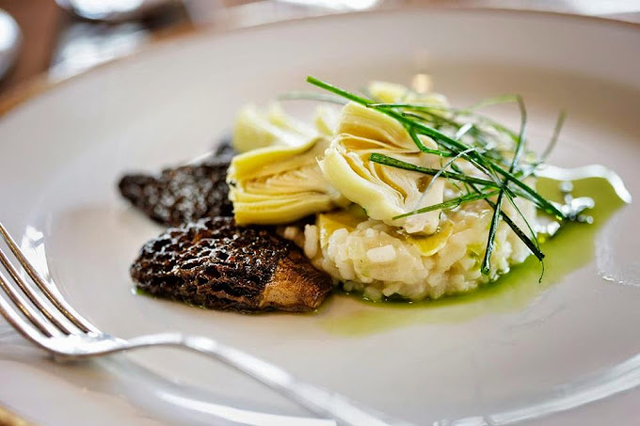 Baltimore Travel Guide 2026: Best New Restaurants, Winter Restaurant Week, and SAIL250