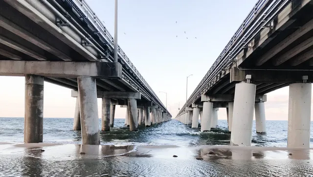 The Chesapeake's Silent Struggle: Pollution, Overfishing, and the Bay's Uncertain Future